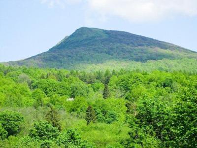 Caloroczne Domki Zacisze Hnatowego Berda W Wetlinie Wetlina Exteriér fotografie