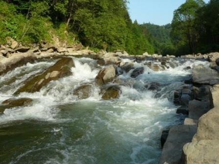 Caloroczne Domki Zacisze Hnatowego Berda W Wetlinie Wetlina Exteriér fotografie