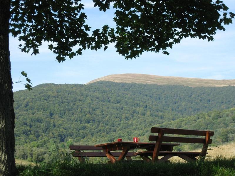 Caloroczne Domki Zacisze Hnatowego Berda W Wetlinie Wetlina Exteriér fotografie