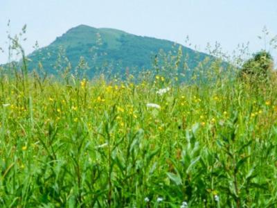 Caloroczne Domki Zacisze Hnatowego Berda W Wetlinie Wetlina Exteriér fotografie
